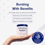 Petlab Co. Joint Care Chews for Dogs - High Levels of Glucosamine, Green Lipped Mussels, Omega 3 and Turmeric - Hip and Joint Supplement for Dogs to Actively Support Mobility - Image 8